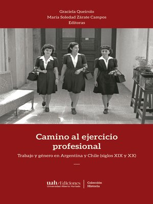 cover image of Camino al ejercicio profesional